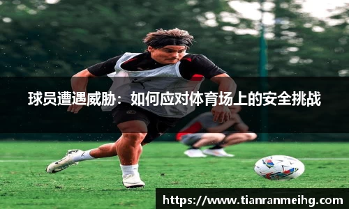 球员遭遇威胁：如何应对体育场上的安全挑战